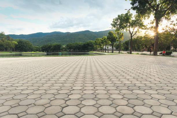 Best Driveway Pavers Near Me  in Shoshone, ID